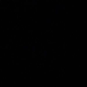 Meet your Posher, Carolina